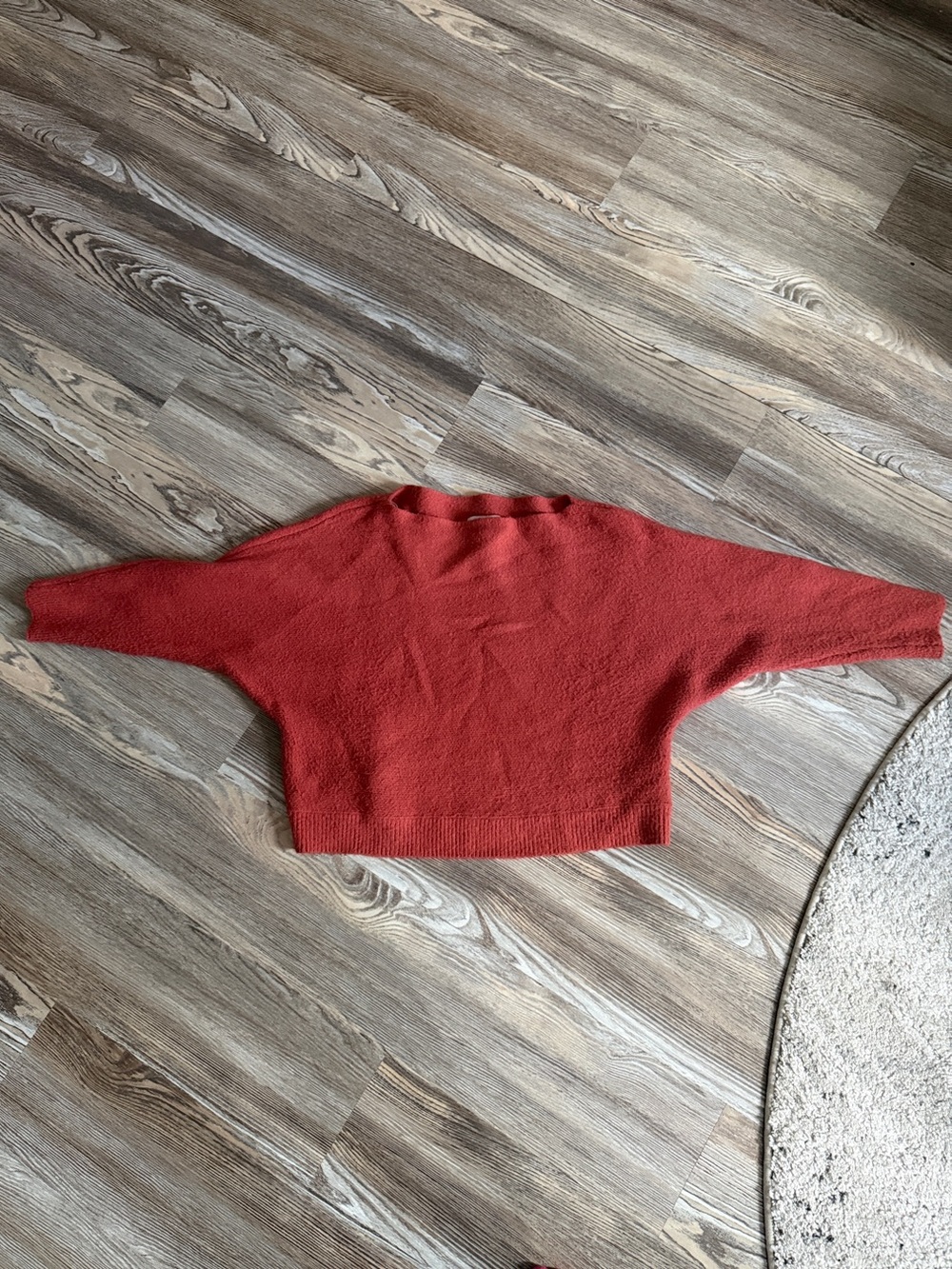 Forever 21 Cropped Crewneck Sweater in Rust